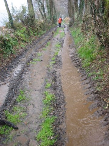 Regencamino bei Borres